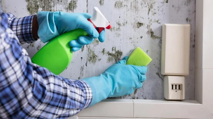 Plesen se ne bo vrnila: cenovno ugodno sredstvo reši stene pred temnimi madeži